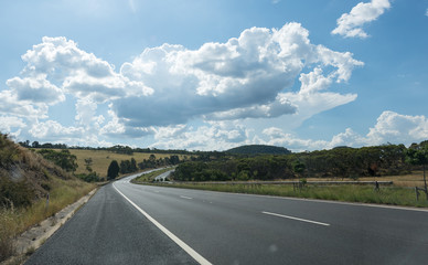 Rural street with full of green trees in blue sky.