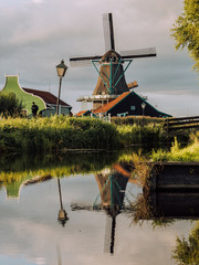 Fototapeta premium Windmills on a field in Netherlands.
