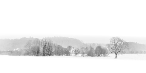 Panorama Winter Landschaft im Nebel mit Schnee schwarz-weiss