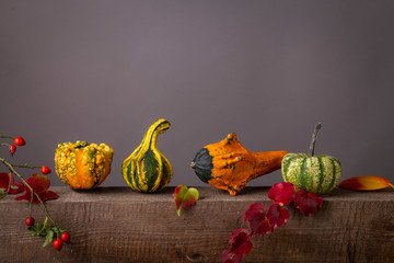 autumn still life with pumpkins and leaves 02