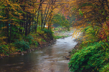 Obraz premium Landscape along the scenic route VT100, Vermont.