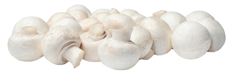 A bunch of fresh champignons on a white isolated background. Side view. Clipping path.