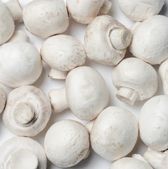 Fresh champignons scattered throughout the field of the frame. Top view.