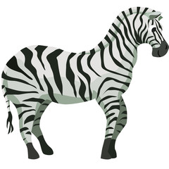 Cartoon zebra flat vector illustration