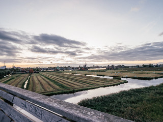  A field in the countryside in Netherlands.