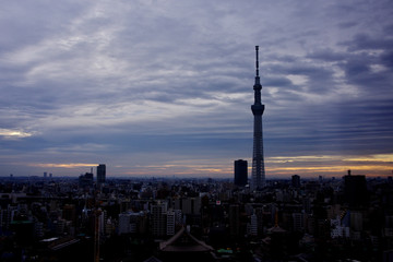 東京の夜明け