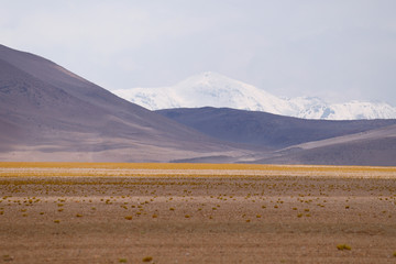 Landscape of the Bolivian highlands. Desert landscape of the Andean plateau of Bolivia with the peaks of the snow-capped volcanoes of the Andes