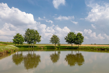 Teich mit kleinen Bäumen, schöner Spiegelung und Sommerhimmel