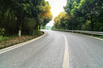 Obraz premium Curved roads in the forest