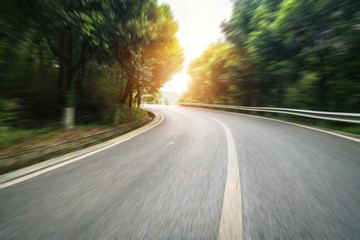 Curved roads in the forest