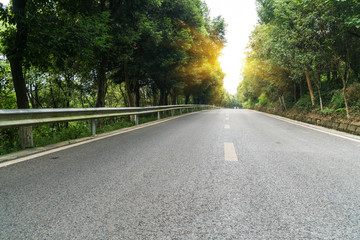 Curved roads in the forest