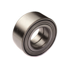 Bearing on a white background, isolated.
