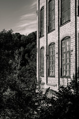 Old hidden factory in the forest