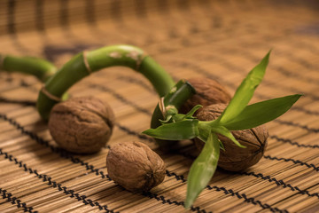 Bamboo and nuts