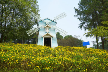 The windmill is in the flowers