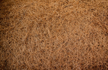 Close-up of the structure of Coco coir, a fabric made of coconut fiber, natural background. Concept...