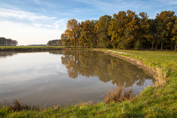 Karpfenweiher mit Wäldern in herbstlicher Stimmung