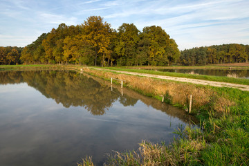 Fischteiche am Waldrand mit Feldweg