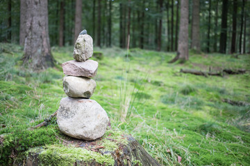 forest_stones