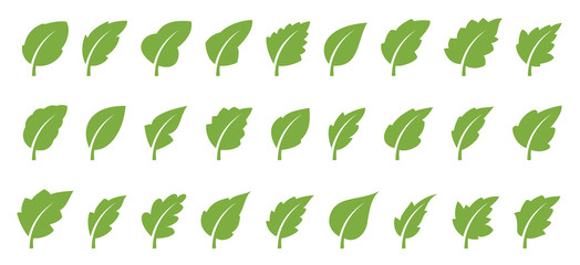 Fototapeta na wymiar Green leaf set
