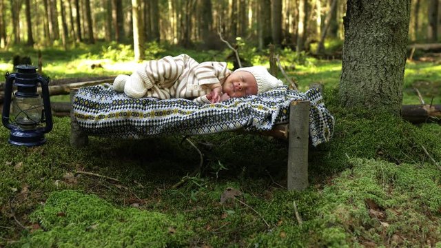 newborn baby sleeps in the forest among the moss