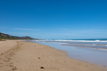 Fototapeta na wymiar Beautiful Beach on the Great Ocean Road on a warm day.