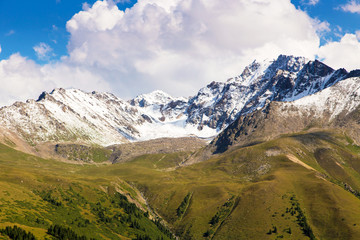 Fototapeta premium Mountain summer landscape. Snowy mountains and green grass. Peak Karakol Kyrgyzstan.