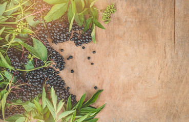 Clusters fruit black elderberry on a wooden background (Sambucus nigra). Elder, black elder....
