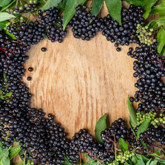 Clusters fruit black elderberry on a wooden background (Sambucus nigra). Elder, black elder....