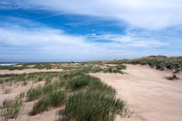 Fototapeta na wymiar New dunes under a blue sky