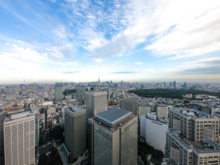 東京都庁からの風景