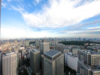 東京都庁からの風景