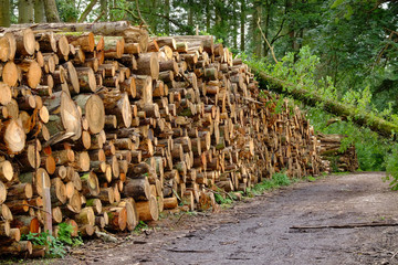 log pile