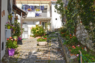 Fototapeta na wymiar Gallo Matese, Italy, 09/23/2017. Plants and flowers in front of the old houses of a country village.