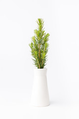 Little fir tree in ceramic vase with wooden decorations, toys. ribbon, ball, gift on white background. Christmas card.