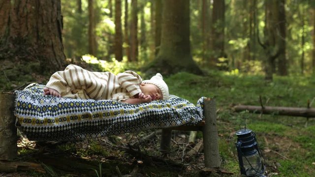 stylish baby lies on a bed in the forest among the trees