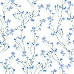 Beautiful floral watercolor seamless pattern with wild herbs and flowers on white .