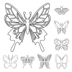 Isolated object of fly and decorative sign. Collection of fly and insect vector icon for stock.