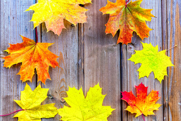 Naklejka na ściany i meble Autumn composition with maple leaves on wooden background, fall concept, copy space