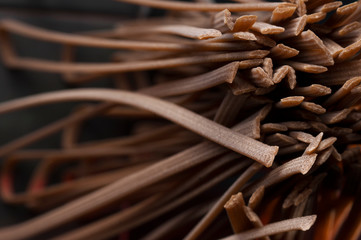 talian spaghetti close-up shooting.Background texture