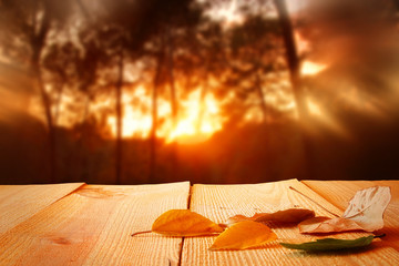background of empty table with dry leaves in front of blurry autumn bokeh. Ready for product...