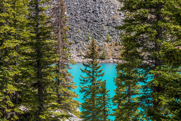 lake in forest