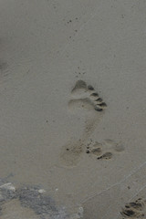 People footprint, beach sand, background