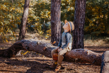 Stylish boy in a hat with a basket. boy in the park in a hat with a basket in autumn