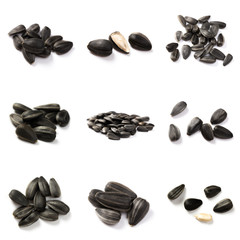 Set of Sunflower seeds isolated on white background