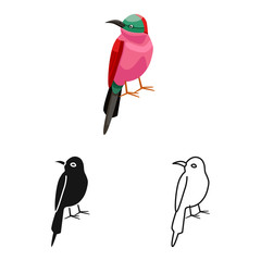 Fototapeta premium Vector illustration of bird and bee-eater icon. Collection of bird and wing stock vector illustration.