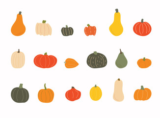 Set of differend pumpkins. Autumn set of elements on isolated white background.