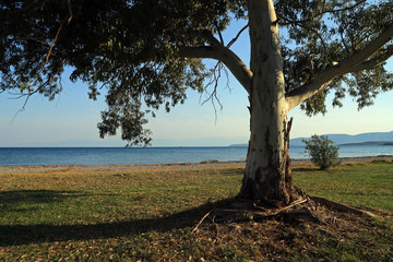 Beach in Itea, Gulf of Korinth, Greece