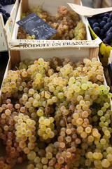 french grapes at market