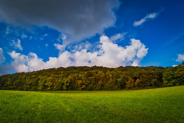 Fototapeta na wymiar Landschaft mit Herbstwald